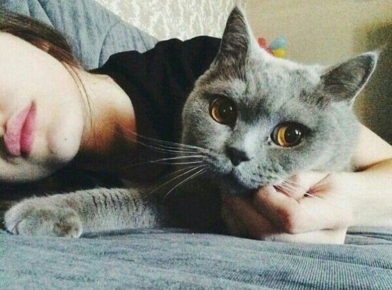 Pinterest
