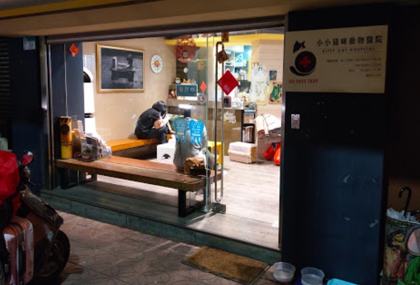 推薦貓醫院