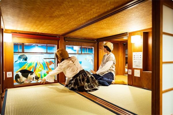 日本貓旅館