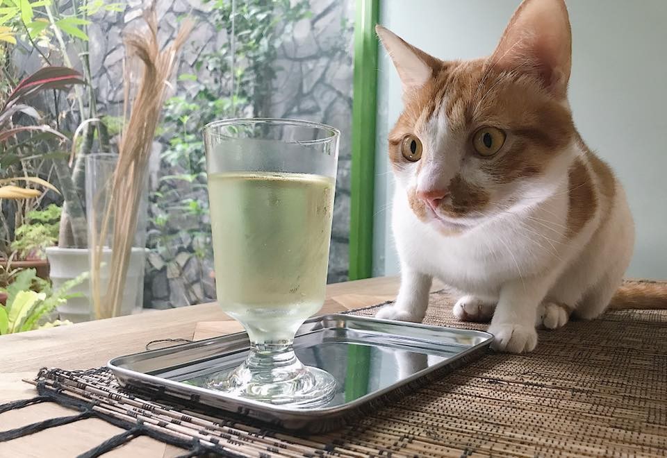 FB 城市草倉