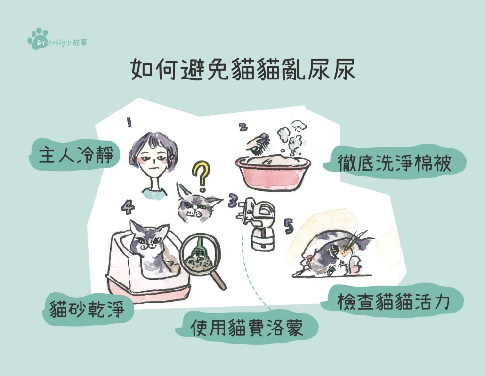 如何避免貓亂尿尿