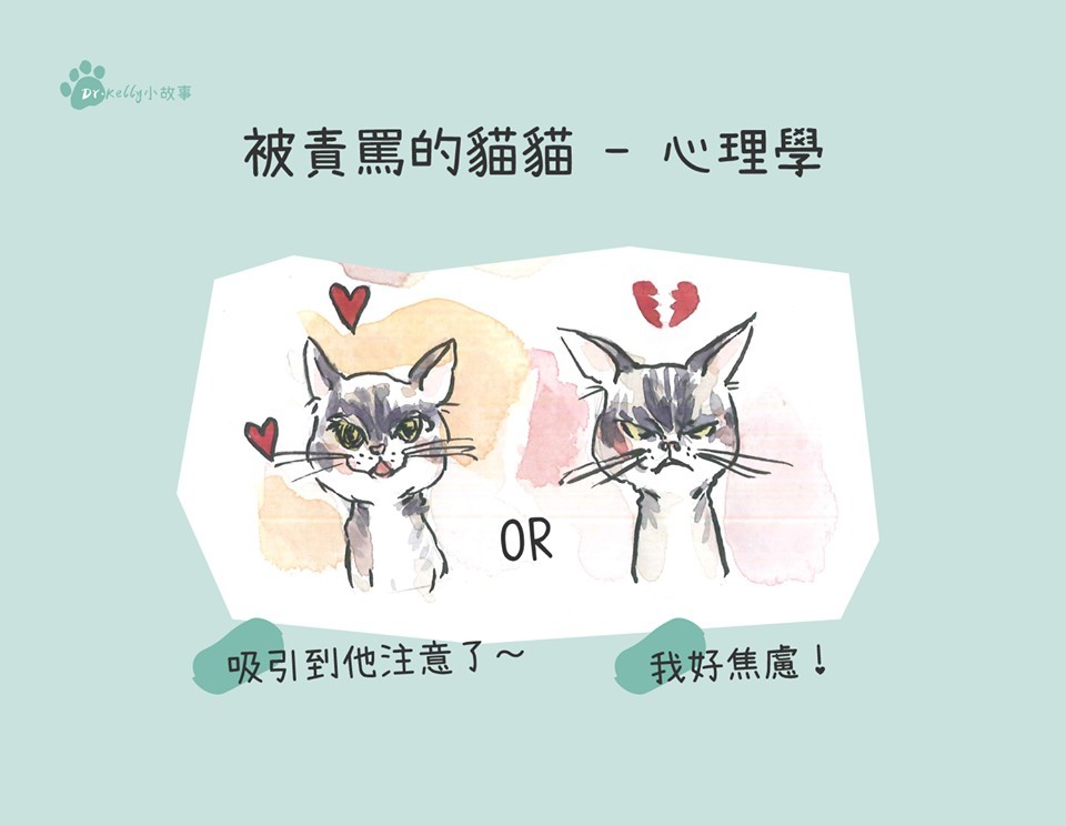 貓尿床該怎麼辦