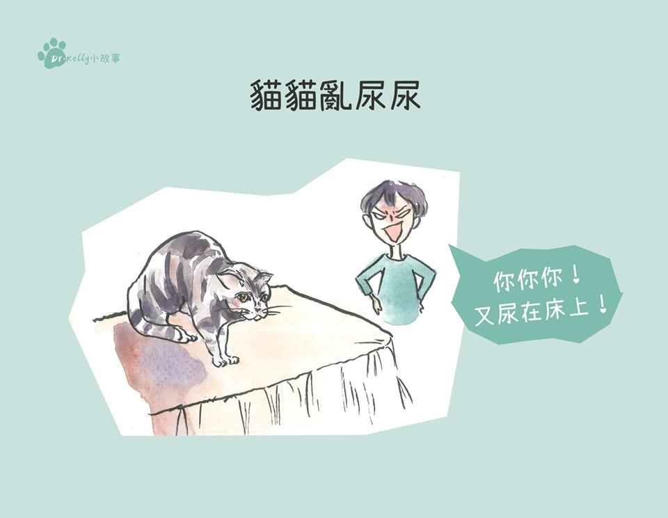 貓尿床不能罵