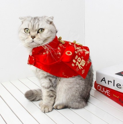 貓咪新年唐裝