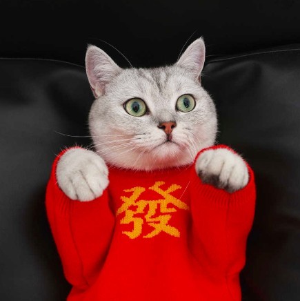 發財