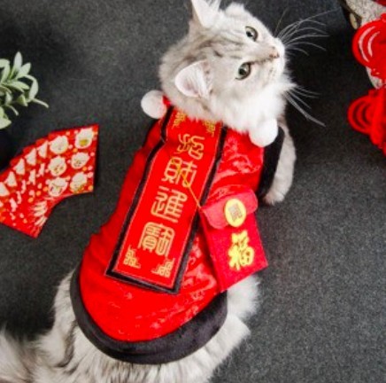 貓咪紅色新春衣服