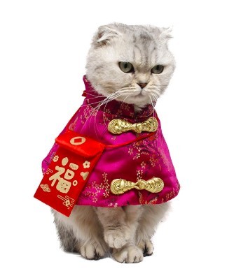 貓咪新年小披風唐裝