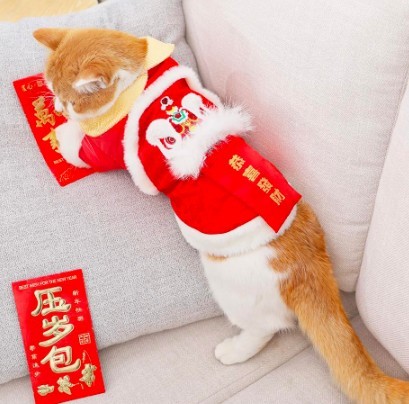 貓新春舞龍舞獅款衣服