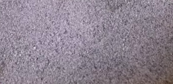 新手養貓 貓砂選擇