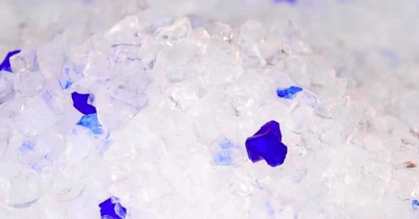 新手養貓 貓砂選擇