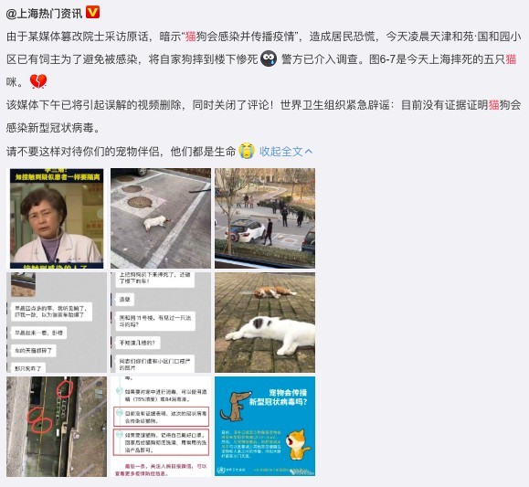 武漢肺炎,搶貓潮