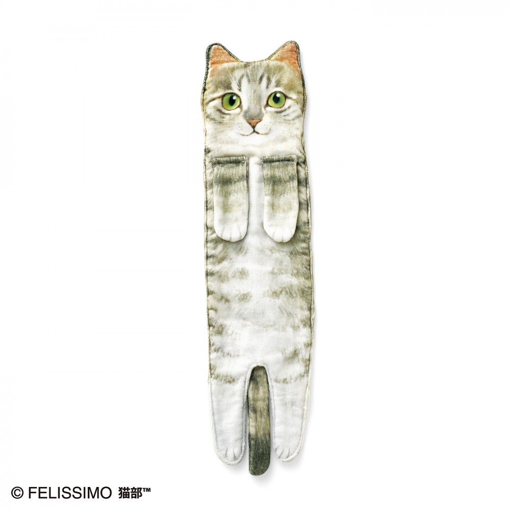 貓毛巾