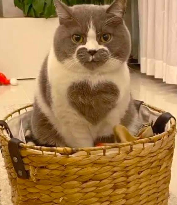 Pinterest