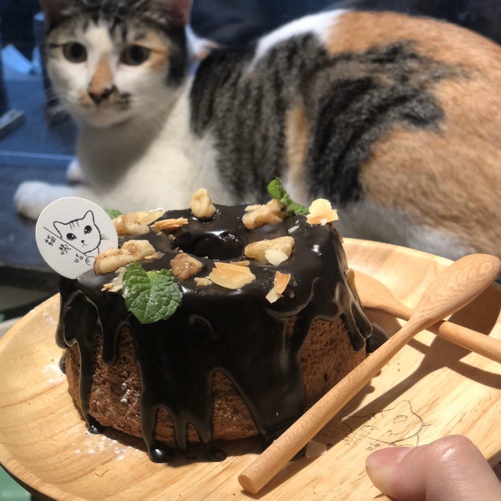 小編精選台北貓咖啡廳