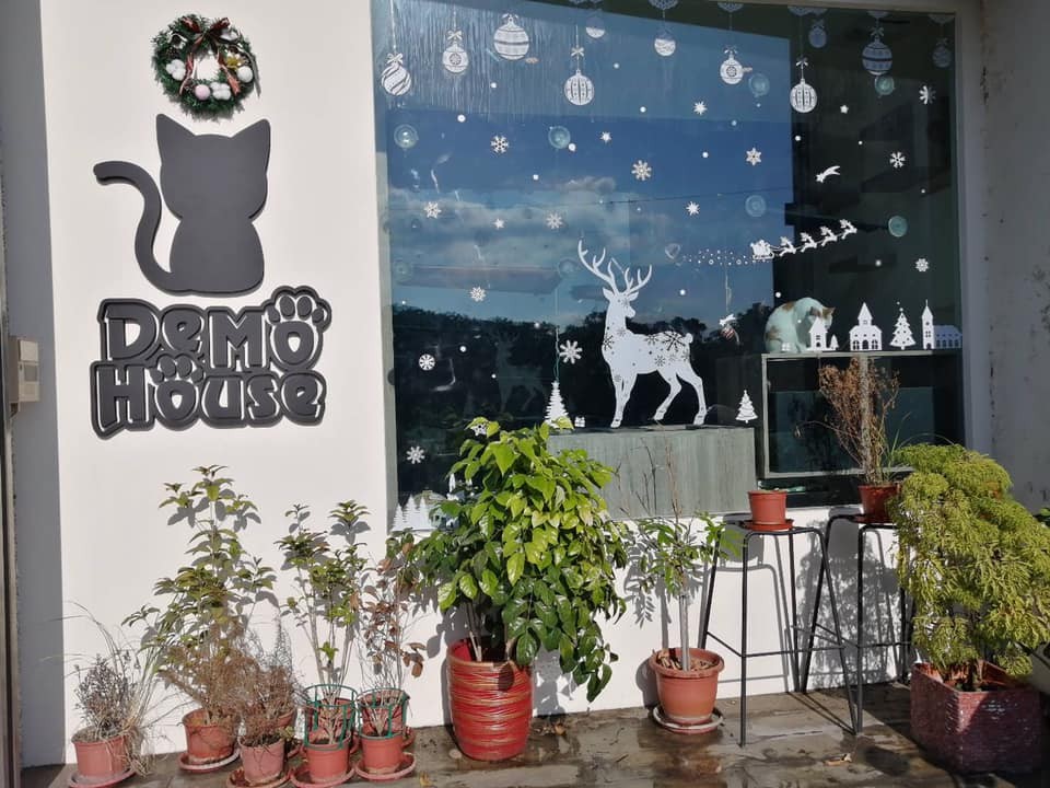 DeMo House 戴莫好食屋 寵物友善餐廳
