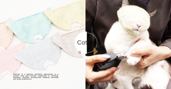 超狂！日本推出「貓咪剪指甲神器」全罩只留嘴巴～笑翻網友：好像內褲套頭