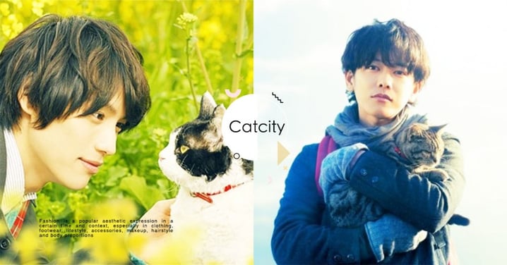 貓奴必看！小編精選 5 部療癒系日本貓咪電影，看完更珍惜與主子的相處時光！