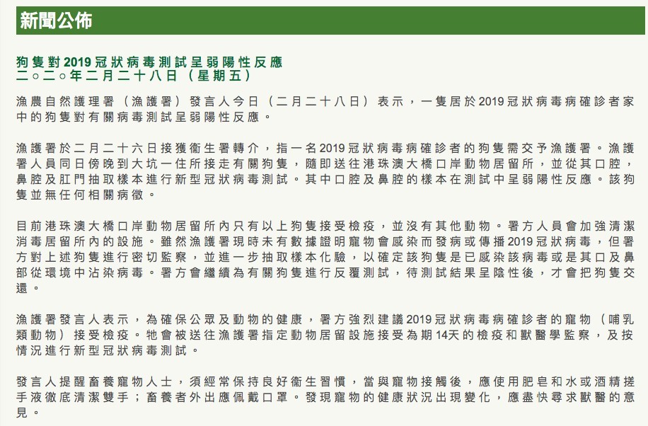 武漢肺炎,香港,寵物狗感染