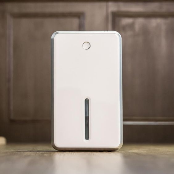 貓黴菌日常預防