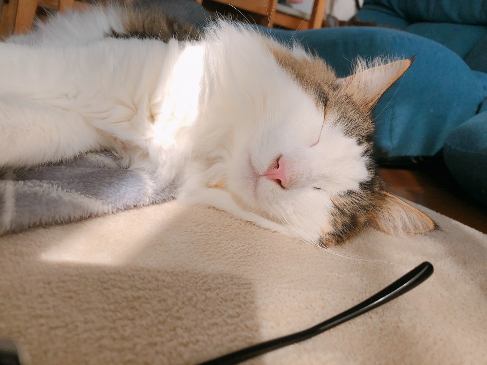 twitter @HARUandRIN0217 