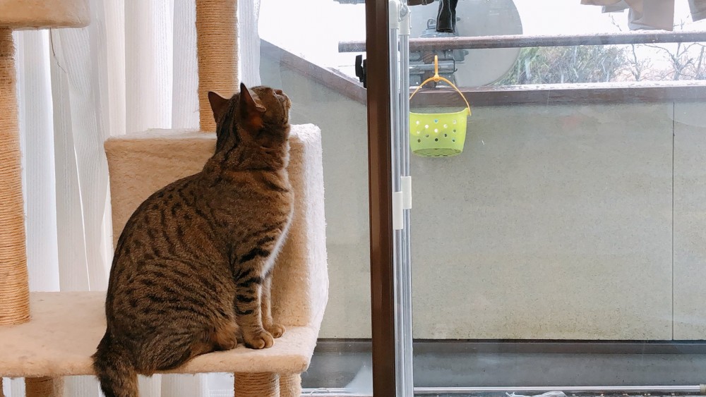 twitter @HARUandRIN0217 