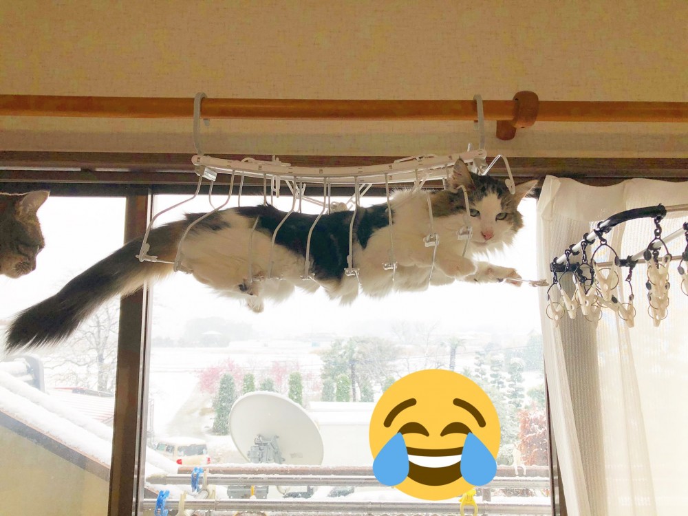 twitter @HARUandRIN0217 