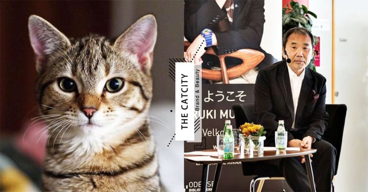 貓咪不粘膩卻有感情！日本知名作家「村上春樹」認證：養貓煩惱就沒了！