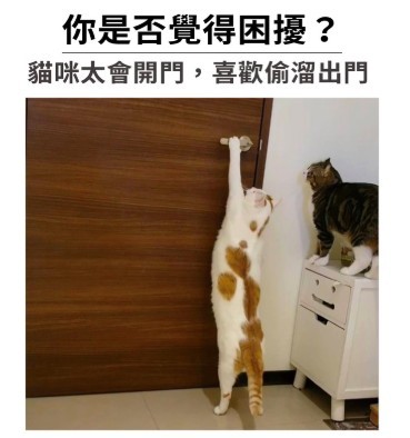 貓咪居家防護,門窗防護