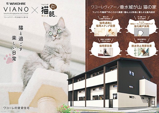 貓奴公寓,專為貓設計,夢幻貓之家