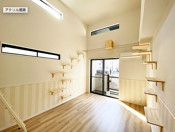 貓奴公寓,專為貓設計,夢幻貓之家