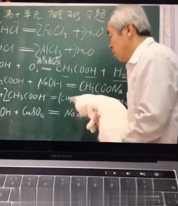 大陸,喵教授,遠距上課