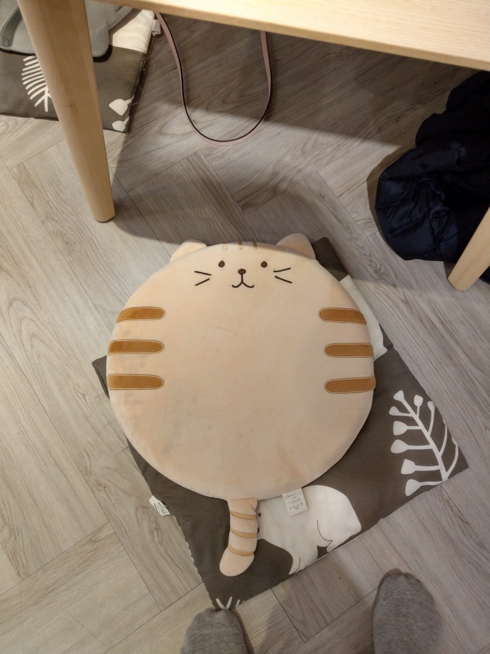 肉球森林,捷運東門站,台北貓咖啡廳,療癒貓咪