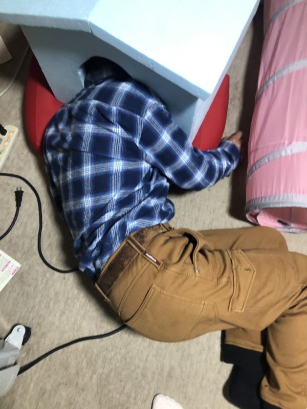 日本,貓奴,酒醉闖貓屋