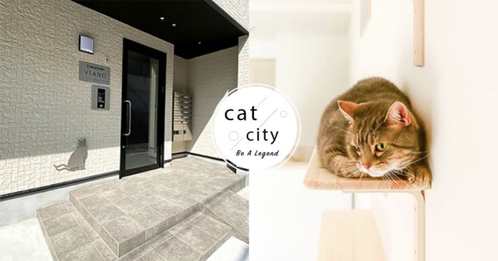 租屋不碰壁！日本FELISSIMO與不動產打造「貓奴公寓」，貓步道、貓砂收納櫃等設計一應俱全！