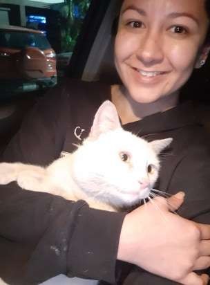 美國墨西哥,浪貓,討食