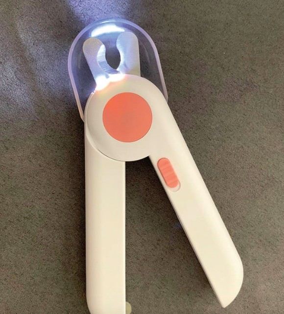 剪指甲,貓咪,新手貓奴