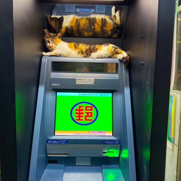 三花,atm,提款機大盜