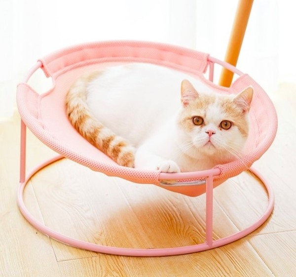 寵物涼床,寵物涼椅