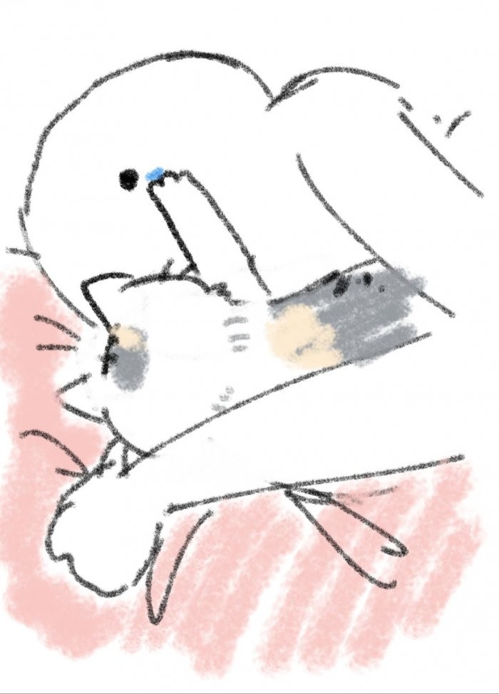 貓咪幫我擦眼淚