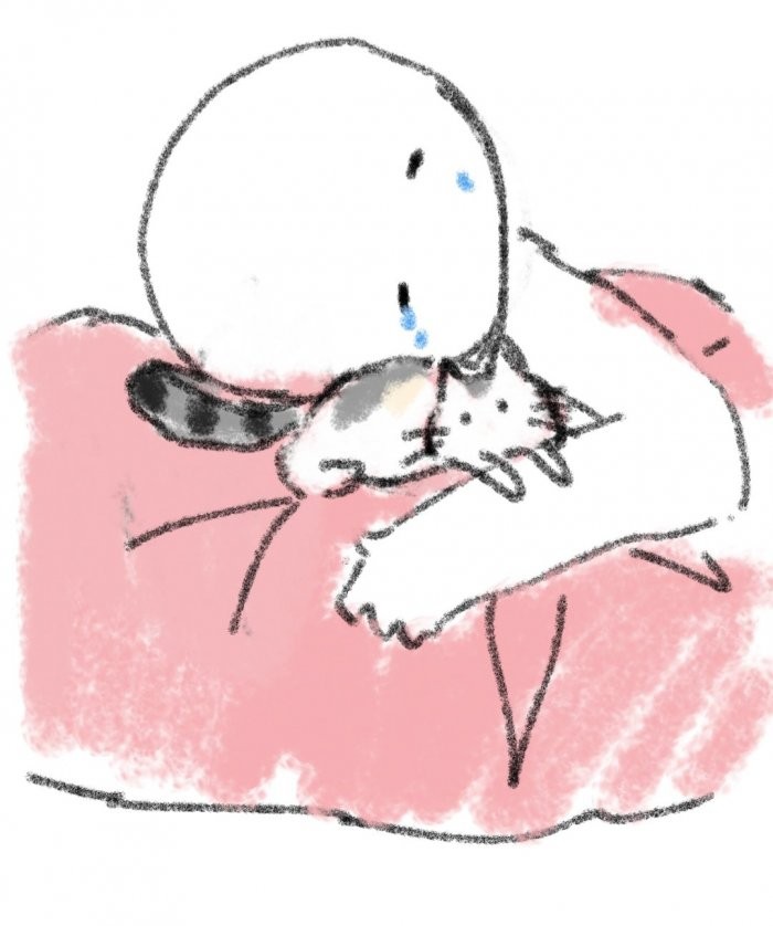 貓咪幫我擦眼淚