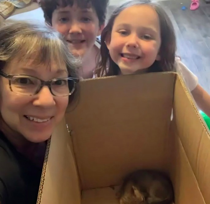 狐狸,散步,狗狗