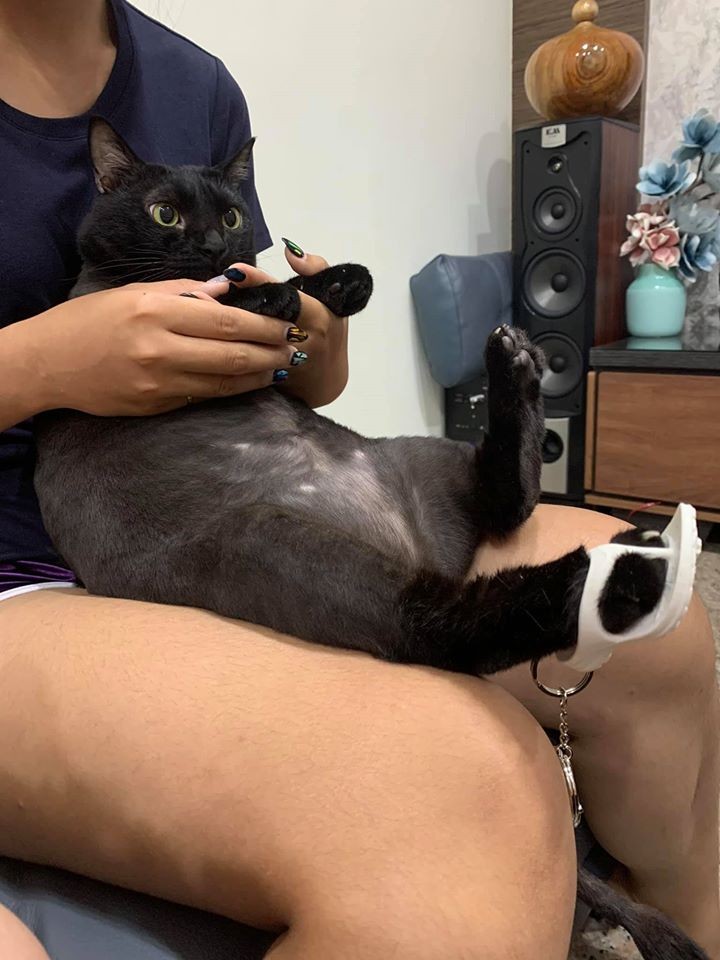 網友陳長葳提供