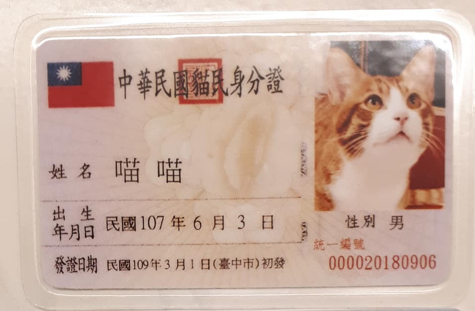 貓咪身分證