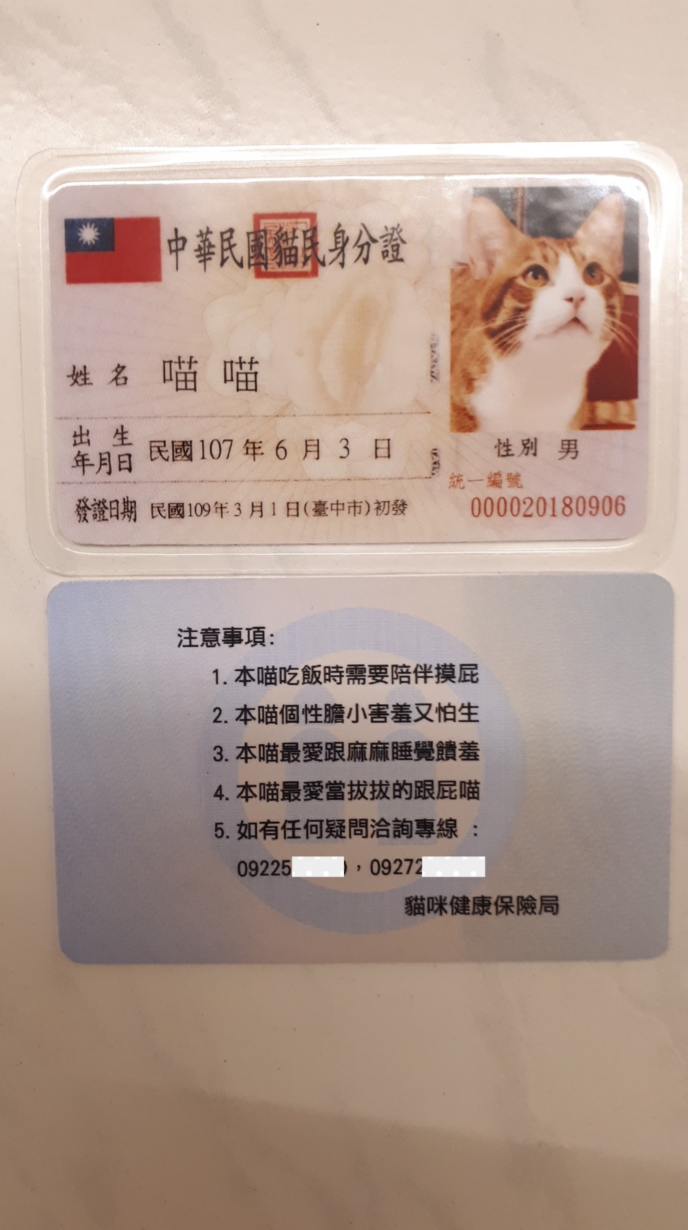 貓咪身分證