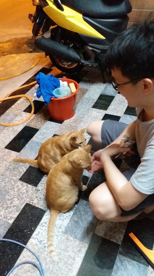 網友羅憲良提供