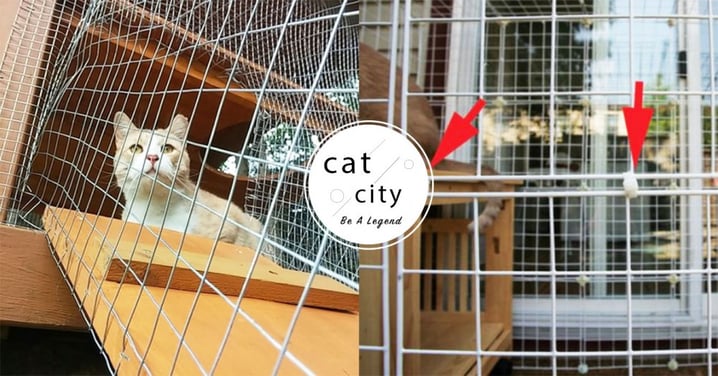 【貓窗網】防貓墜樓！3 個「窗網安裝教學」，養貓人家必備家居裝置！