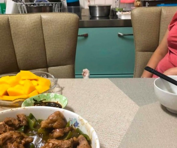 網友Cow Haha授權