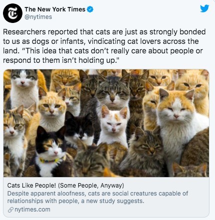 螢幕快照 2020-07-16 下午4.29.01