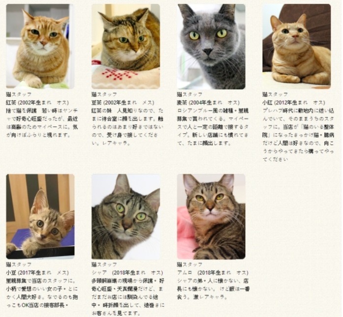 螢幕快照 2020-07-24 下午5.07.59