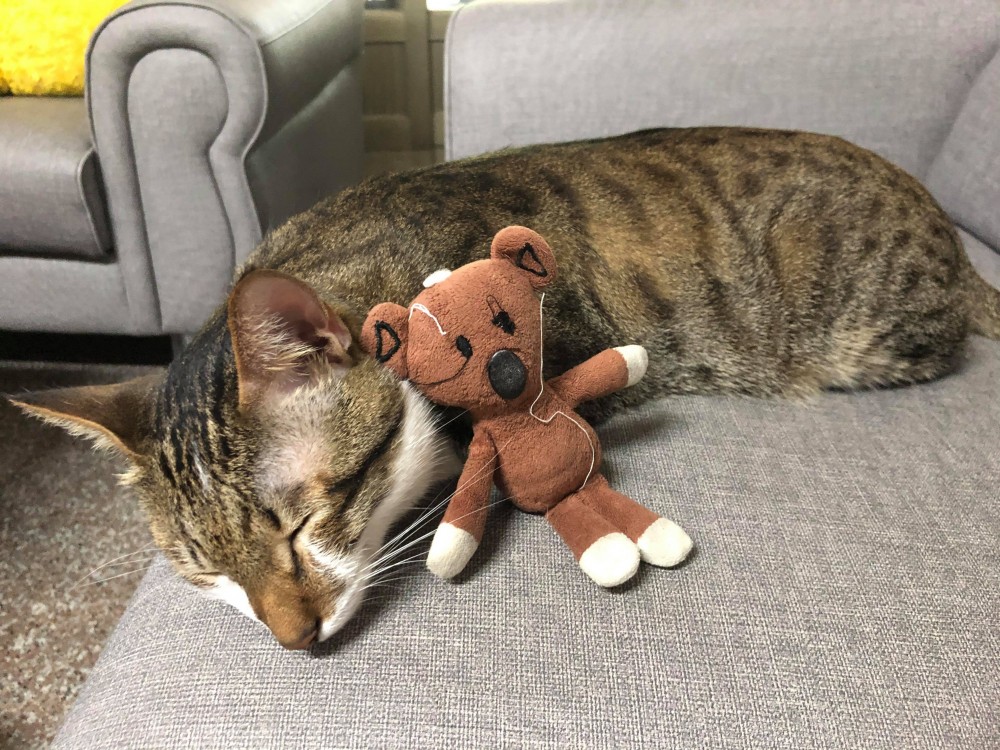 網友Cow Haha授權